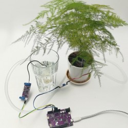 Automatic Plant Watering System